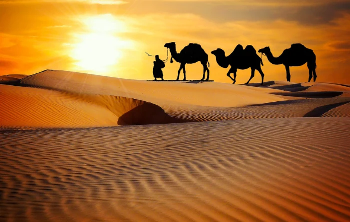 11. Rajasthan