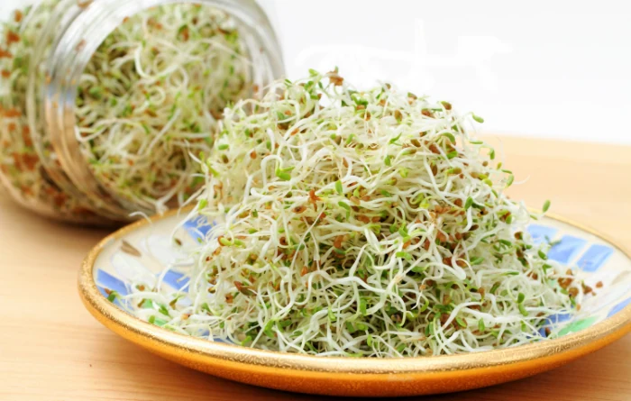 3 . Raw sprouts