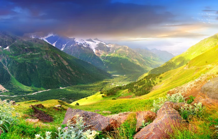 4. Valley of Flowers