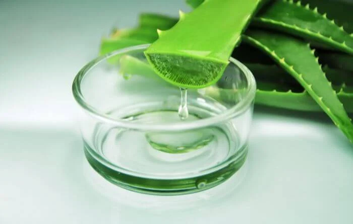 Aloe Veera mask for healthy and strong hair