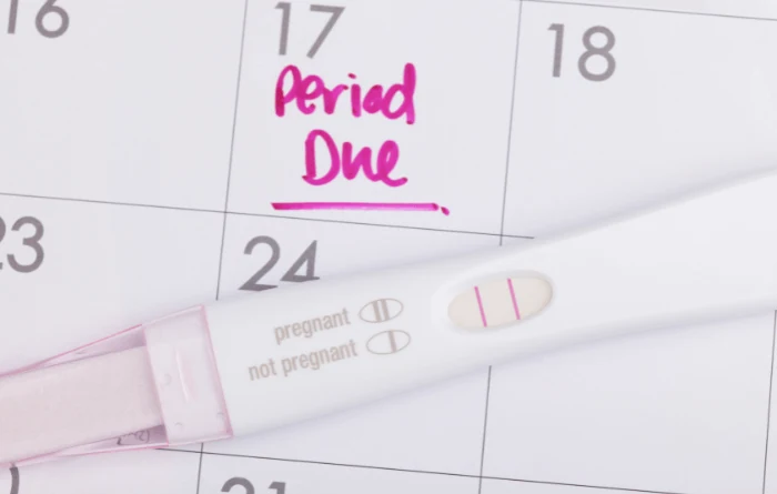 What are the common symptoms of pregnancy